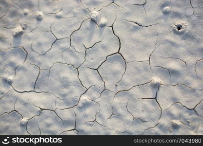 Patterns on a freshly poured concrete surface