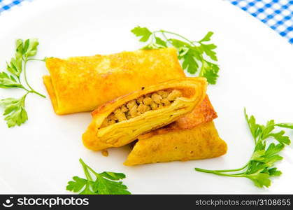 Patties with meat in the plate