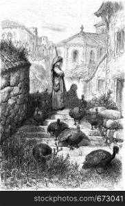 Pave a (airs turkeys), Salamanca campaign, vintage engraved illustration. Le Tour du Monde, Travel Journal, (1872).