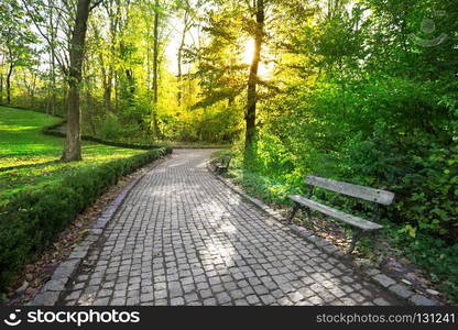 Paved path in a park in the summer. Paved path in a park