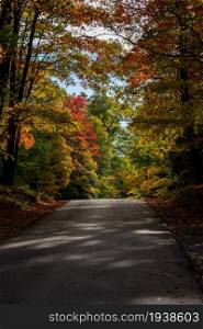 Paved road in the Coopers Rock state park in the autumn near Cheat Lake near Morgantown, WV. Road in Coopers Rock state park in West Virginia with fall colors