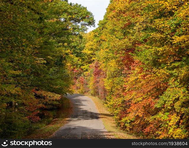 Paved road in the Coopers Rock state park in the autumn near Cheat Lake near Morgantown, WV. Road in Coopers Rock state park in West Virginia with fall colors