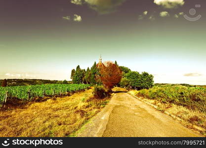 Paved Road leading to the Temple in Tuscany, Italy, Vintage Style Toned Picture