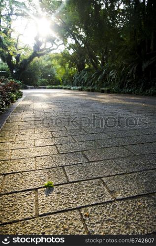 paved way in a park.