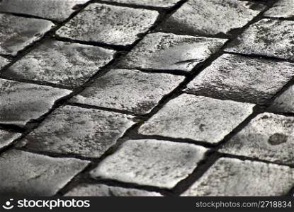 pavement of grey old cobblestones shining in the sunlight