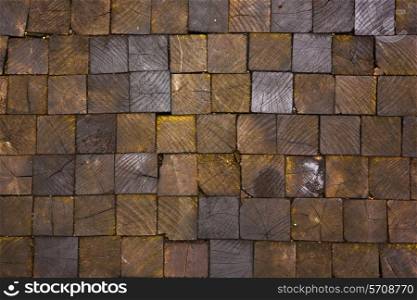 pavement texture of wooden blocks