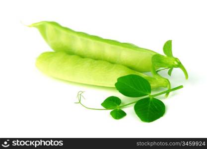 Pea and leaf isolated on white
