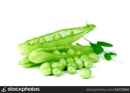 Pea and leaf isolated on white