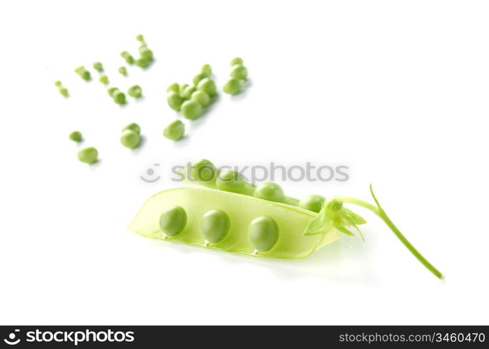 Pea isolated on white close up