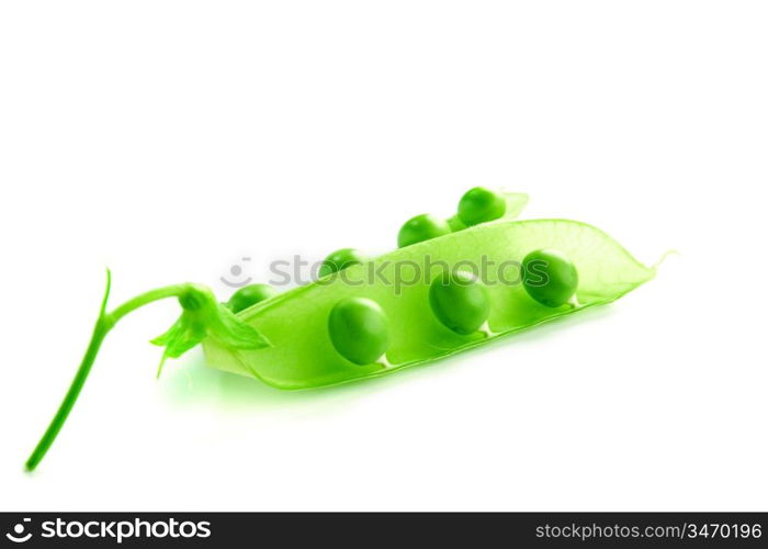 Pea isolated on white close up