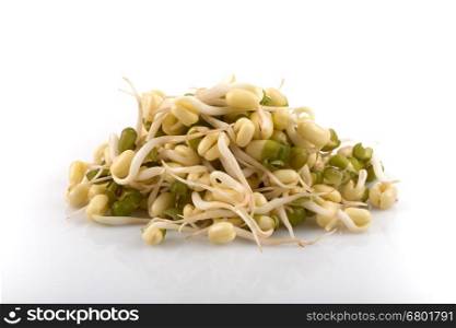 Pea seeds with sprouts close up macro shot top view isolated on white background