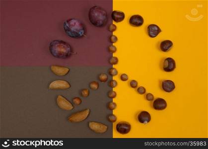 Peace symbol of in shell nuts and autumn fruits on split background