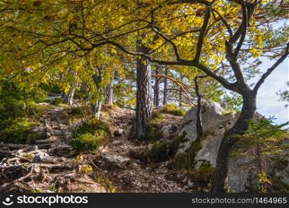 Peaceful autumn alpine Traunsee lake and hiking path to Kleiner Sonnstein rock summit, Ebensee, Upper Austria.