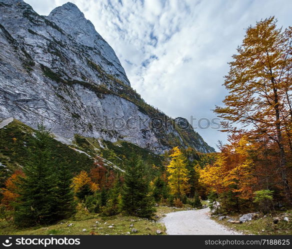 Peaceful autumn Alps mountain forest view. Near Gosauseen or Vorderer Gosausee lake, Upper Austria. Dachstein summit and glacier in far.