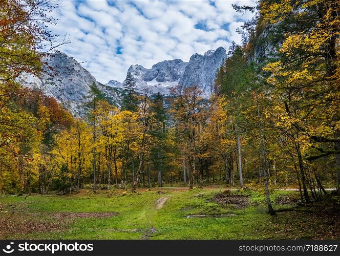 Peaceful autumn Alps mountain forest view. Near Gosauseen or Vorderer Gosausee lake, Upper Austria. Dachstein summit and glacier in far.