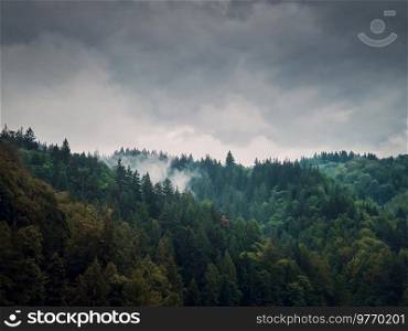 Peaceful fall scene in Carpathian mountains with mixed forest on top of the hills in a gloomy day. Natural autumn landscape in the woods, rainy weather with foggy clouds above the trees