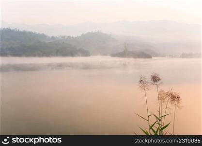 Peaceful place, Pa Khong Lake in morning light in winter season, soft mist covers on the lake and mountains. Scenic landscape of Dien Bien, Vietnam. Warm tone. Focus on kans grass.