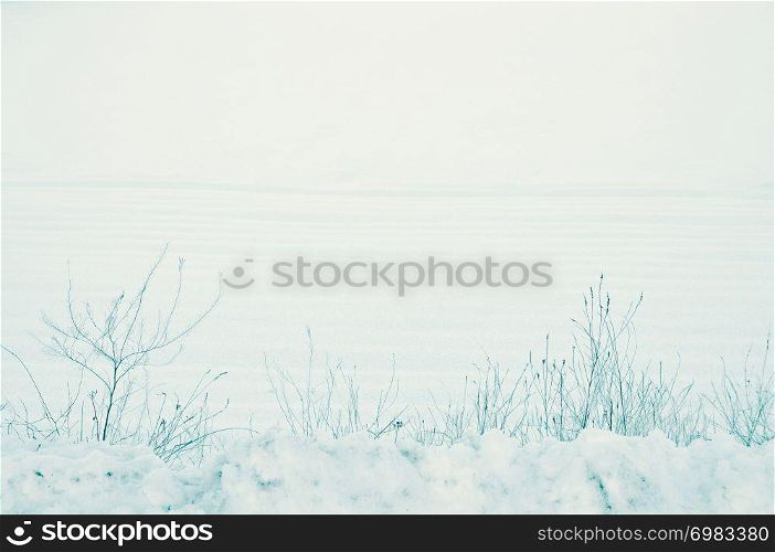 Peaceful, rural winter landscape of cold snow covering the ground of farmland in the countryside a silent December morning. Soft blue color tones and copyspace.. Peaceful, rural winter landscape of cold snow covering the ground of farmland in the countryside a silent December morning. Soft blue color tones and copyspace