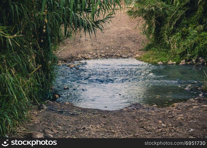 Peaceful Stream flows through forest
