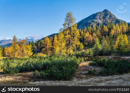 Peaceful sunny day autumn Alps mountain view. Reiteralm, Steiermark, Austria.