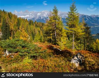 Peaceful sunny day autumn Alps mountain view. Reiteralm, Steiermark, Austria.