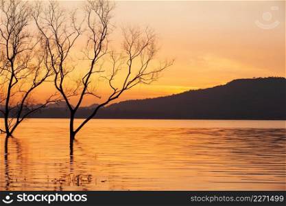 Peaceful sunset time, beautiful sunset sky, twilight reflecting in the lake, gently ripple wave. Mountain backgrounds. Fantastic shape of dead trees foregrounds. Thailand. Silhouette.