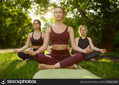 Peaceful women relax, group yoga training on the grass in park. Meditation, class on workout outdoors, relaxation practice. Peaceful women relax, group yoga training
