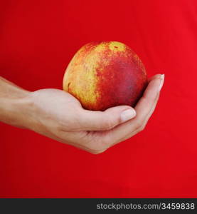 peach in woman hands close up