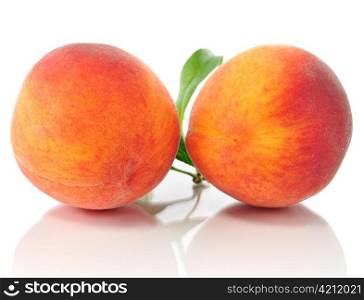 peaches on white background