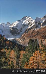 Peak of Piz Bernina in autumn landscape in the Swiss Alps