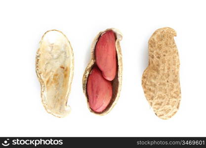 peanut isolate on white close up