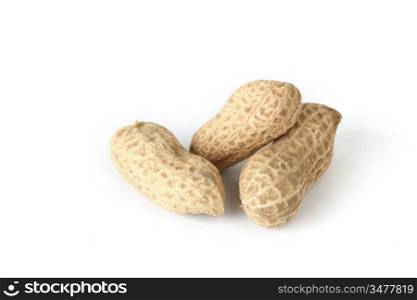 peanut isolate on white close up