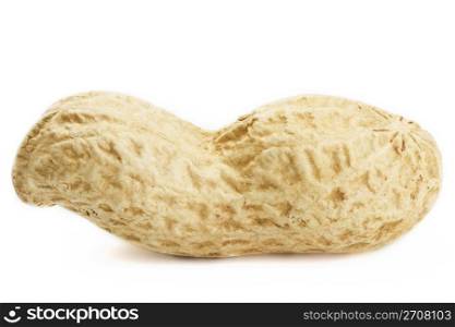 peanut macro. closeup of a peanut on white background