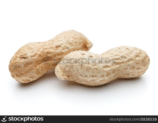 peanut pod or arachis isolated on white background cutout