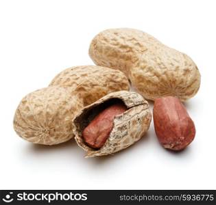 peanut pod or arachis isolated on white background cutout