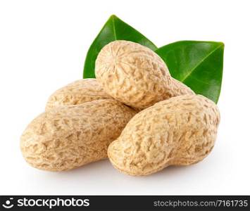 Peanut pods with green leaves isolated on white background