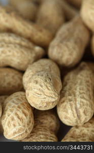 peanuts background macro close up