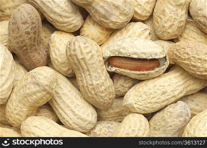 Peanuts, close-up