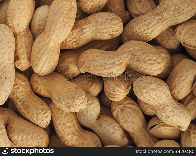 peanuts food background. peanuts (Arachis hypogaea) food useful as a background