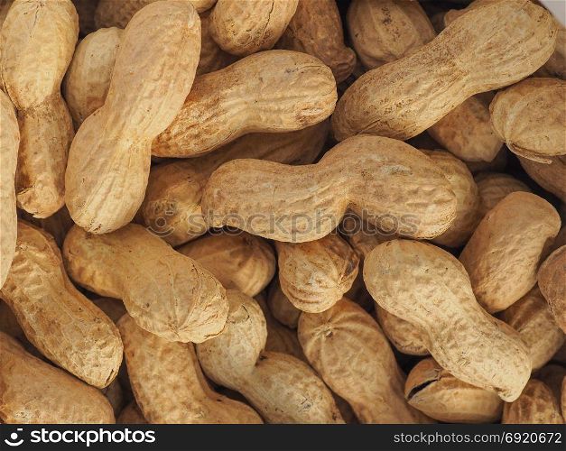 peanuts food background. peanuts (Arachis hypogaea) food useful as a background