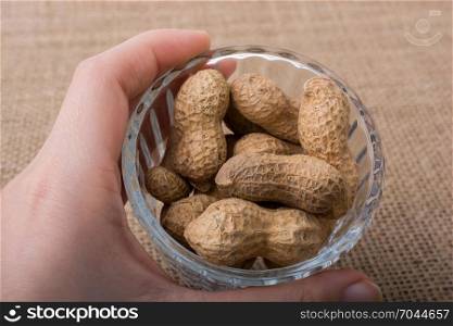 Peanuts in a plate on canvas on canvas background