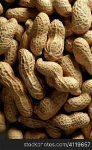 Peanuts macro over wood background
