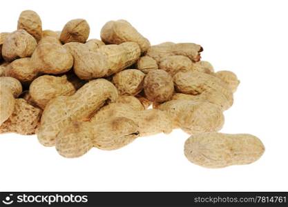 peanuts on the white background (Arachis hypogaea)