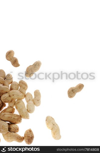 peanuts on the white background (Arachis hypogaea)