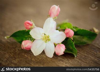 Pear blossom on wooden table