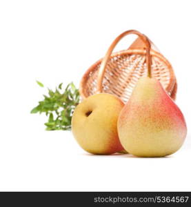 Pear fruit and wicker basket isolated on white background cutout. Autumn harvest concept.