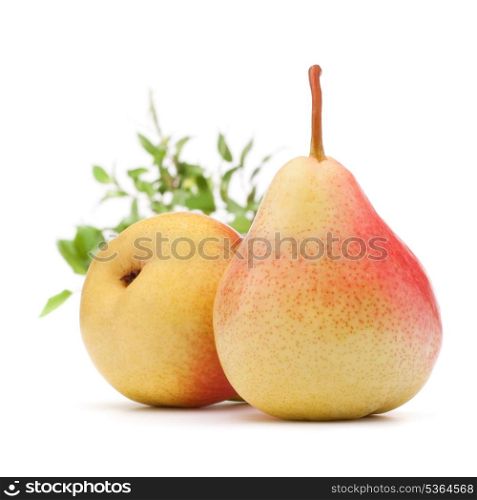 Pear fruit isolated on white background cutout