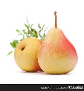 Pear fruit isolated on white background cutout