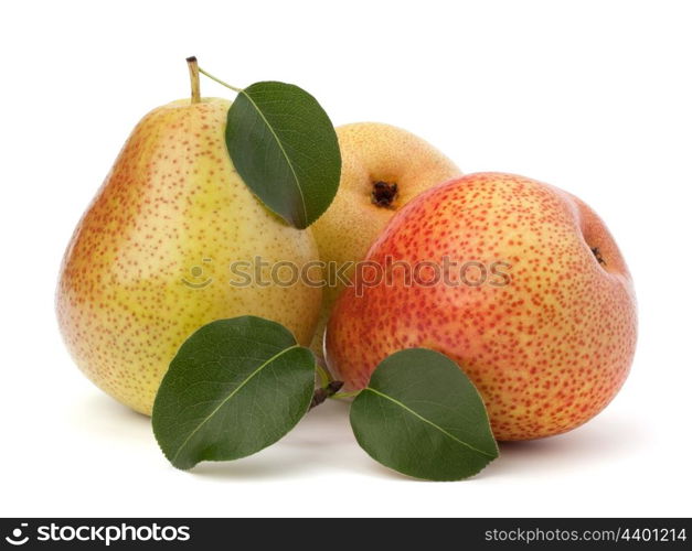 Pear fruits isolated on white background