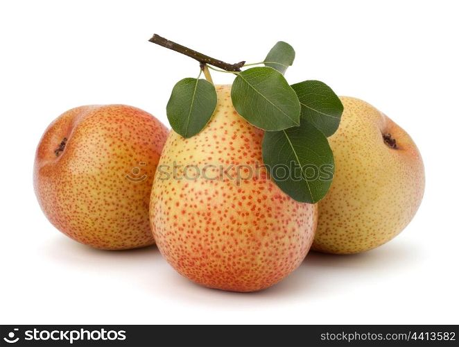 Pear fruits isolated on white background